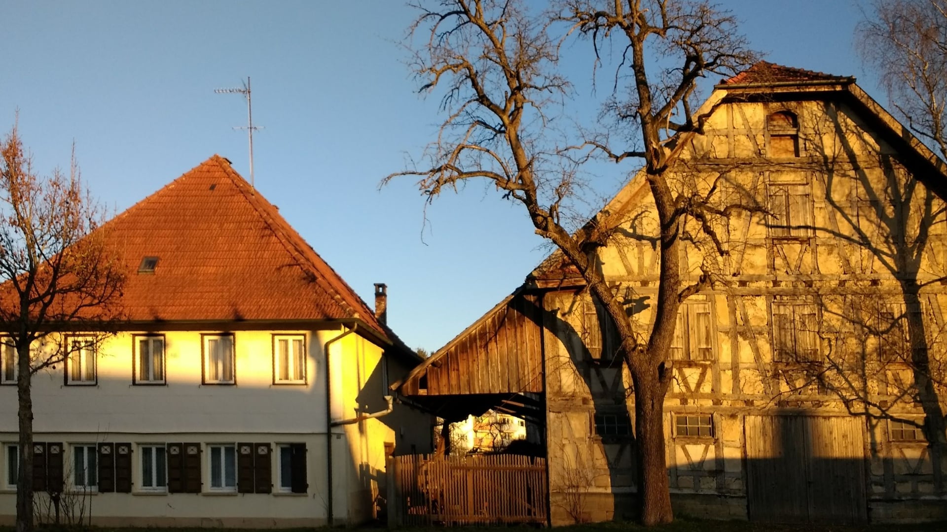 Fotoquelle: Lisa Kober