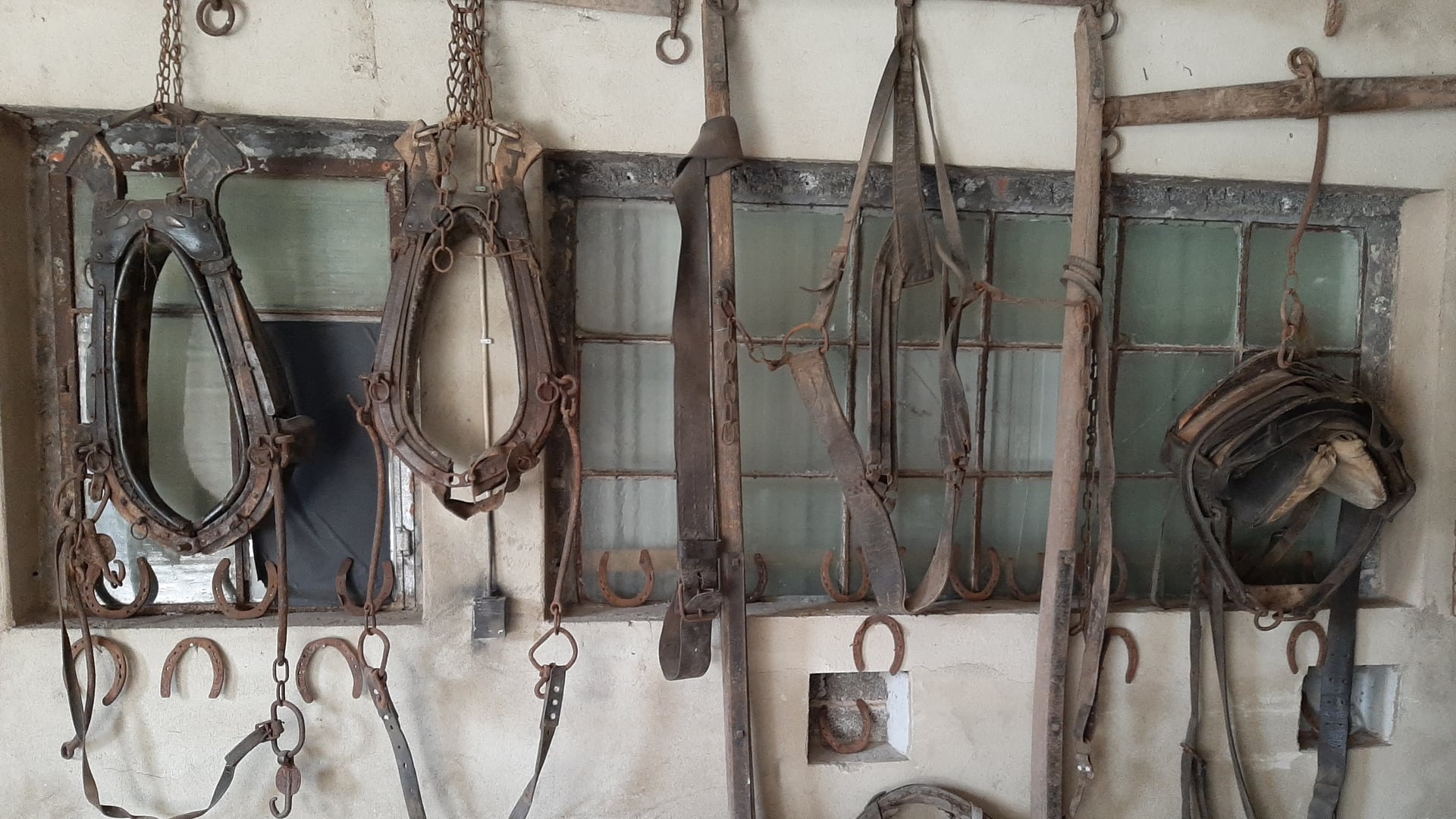 Fotoquelle: H. Ronig