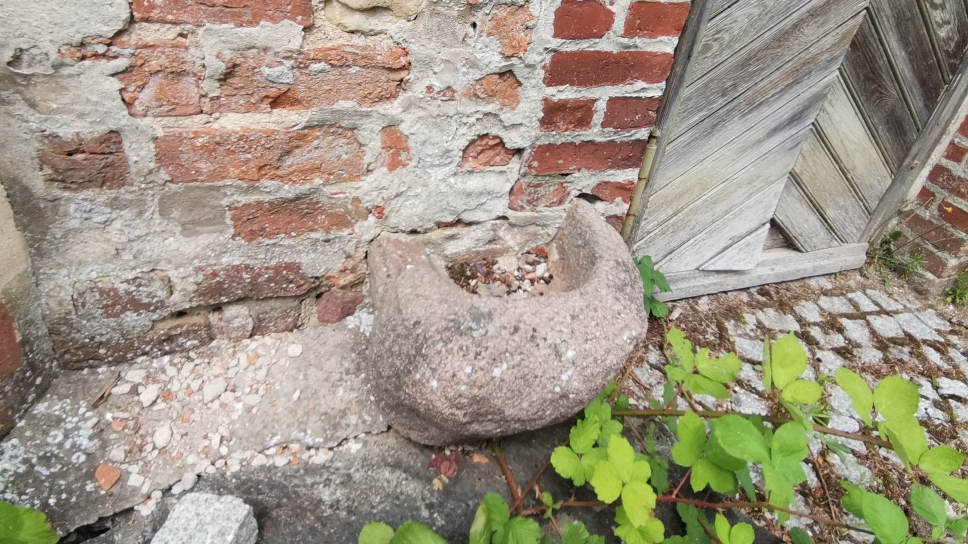 Fotoquelle: Kirchengemeinde