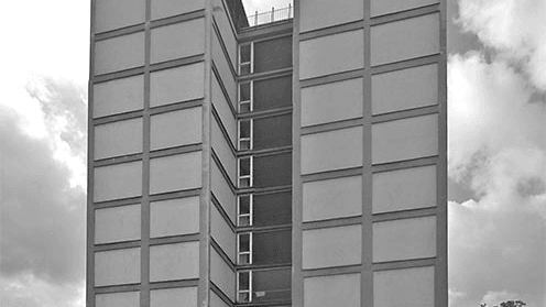 Fotoquelle: Dünenfüchse Bonn-Tannenbusch e.V.