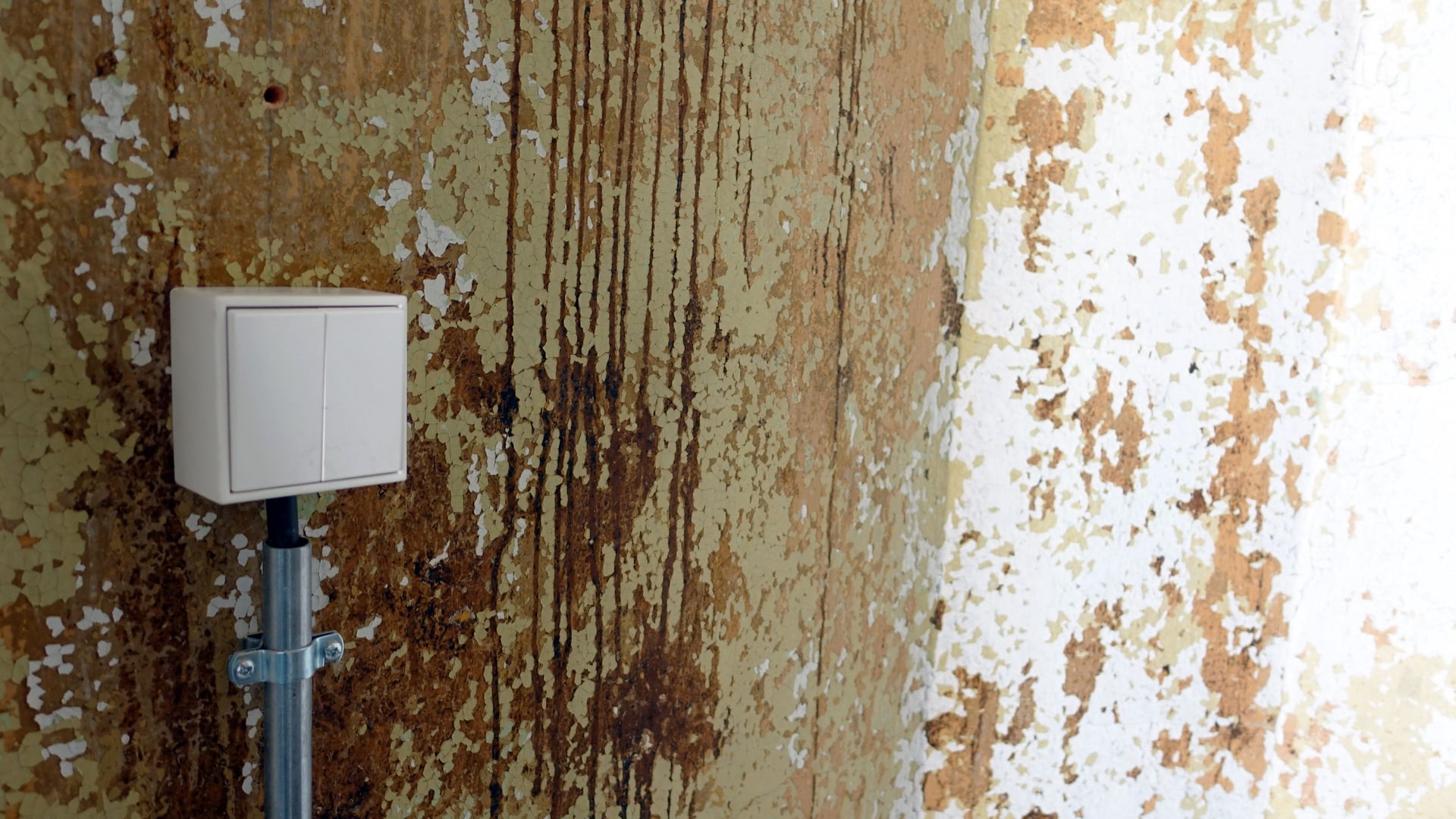 Fotoquelle: Tim Mahn