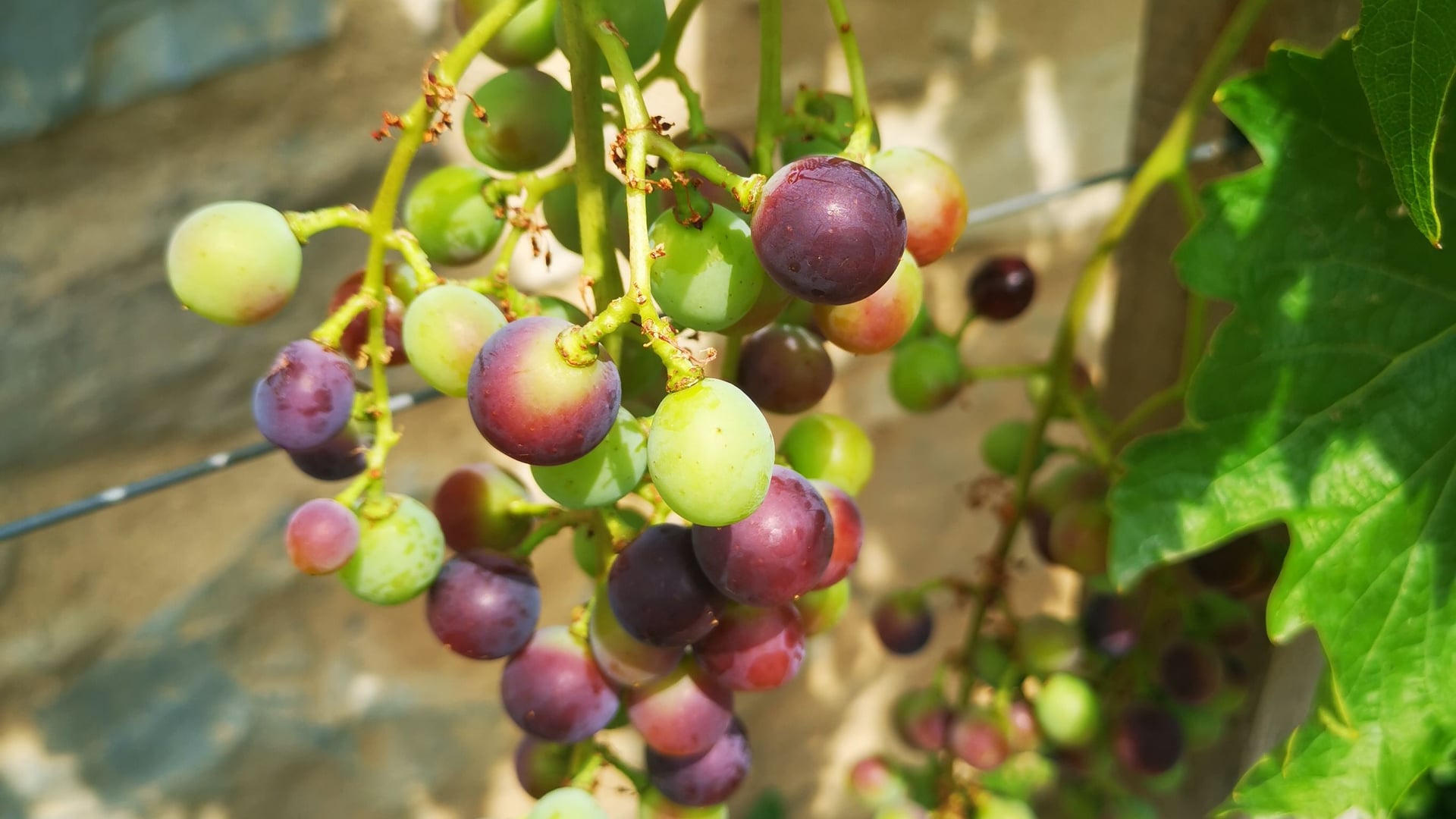 Fotoquelle: Isabell Heep