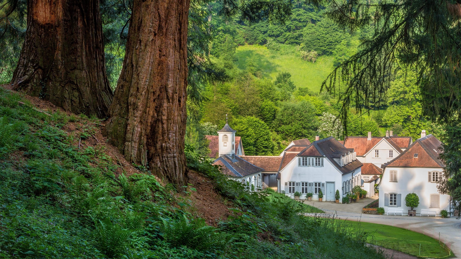 Fotoquelle: Michael Leukel