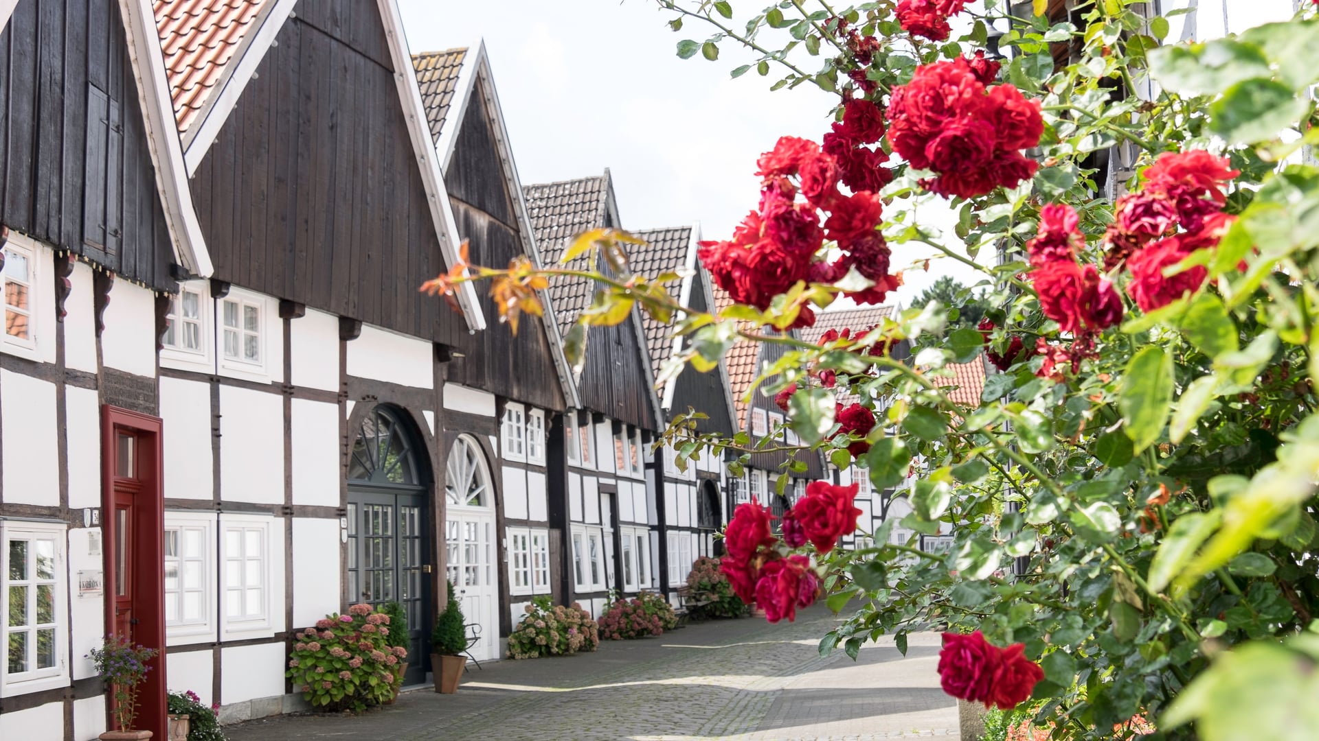 Fotoquelle: Uli Funke