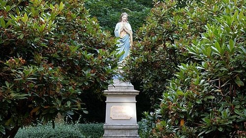 Fotoquelle: Frank Vincent