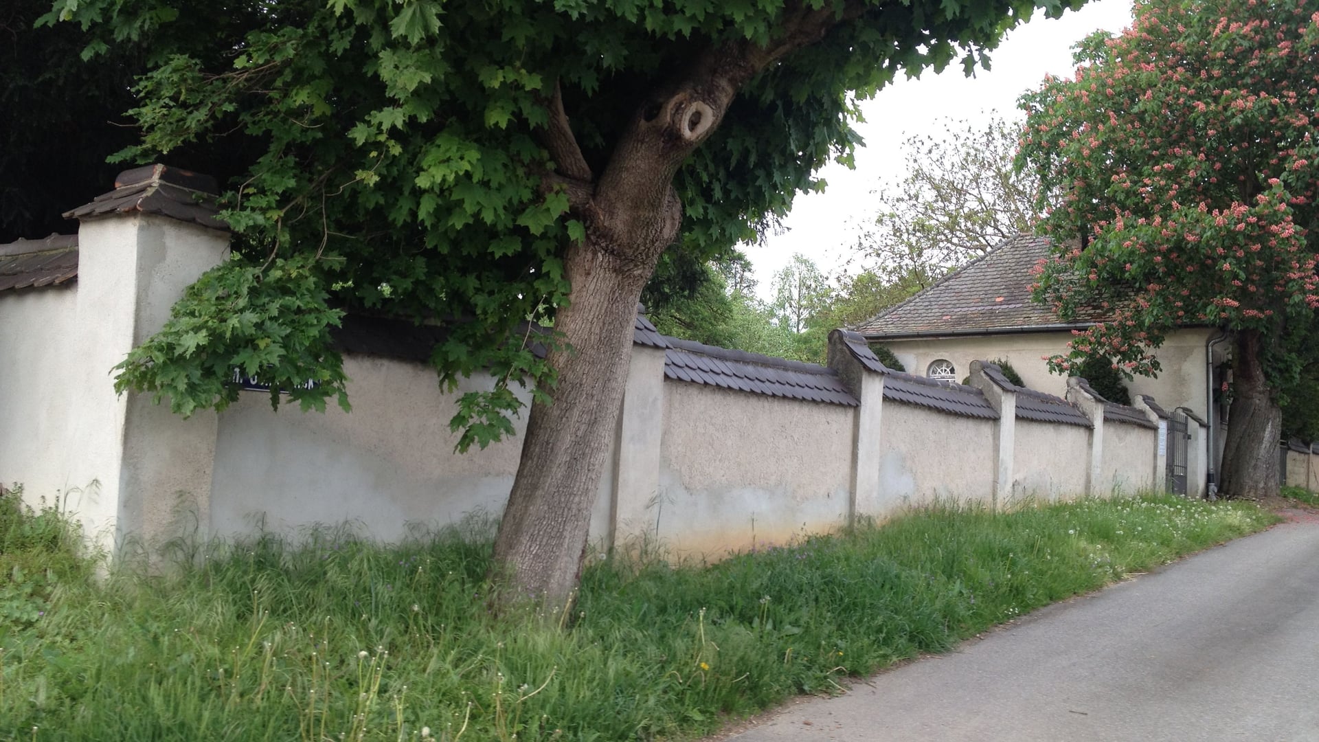 Fotoquelle: Cornelia Schmidt