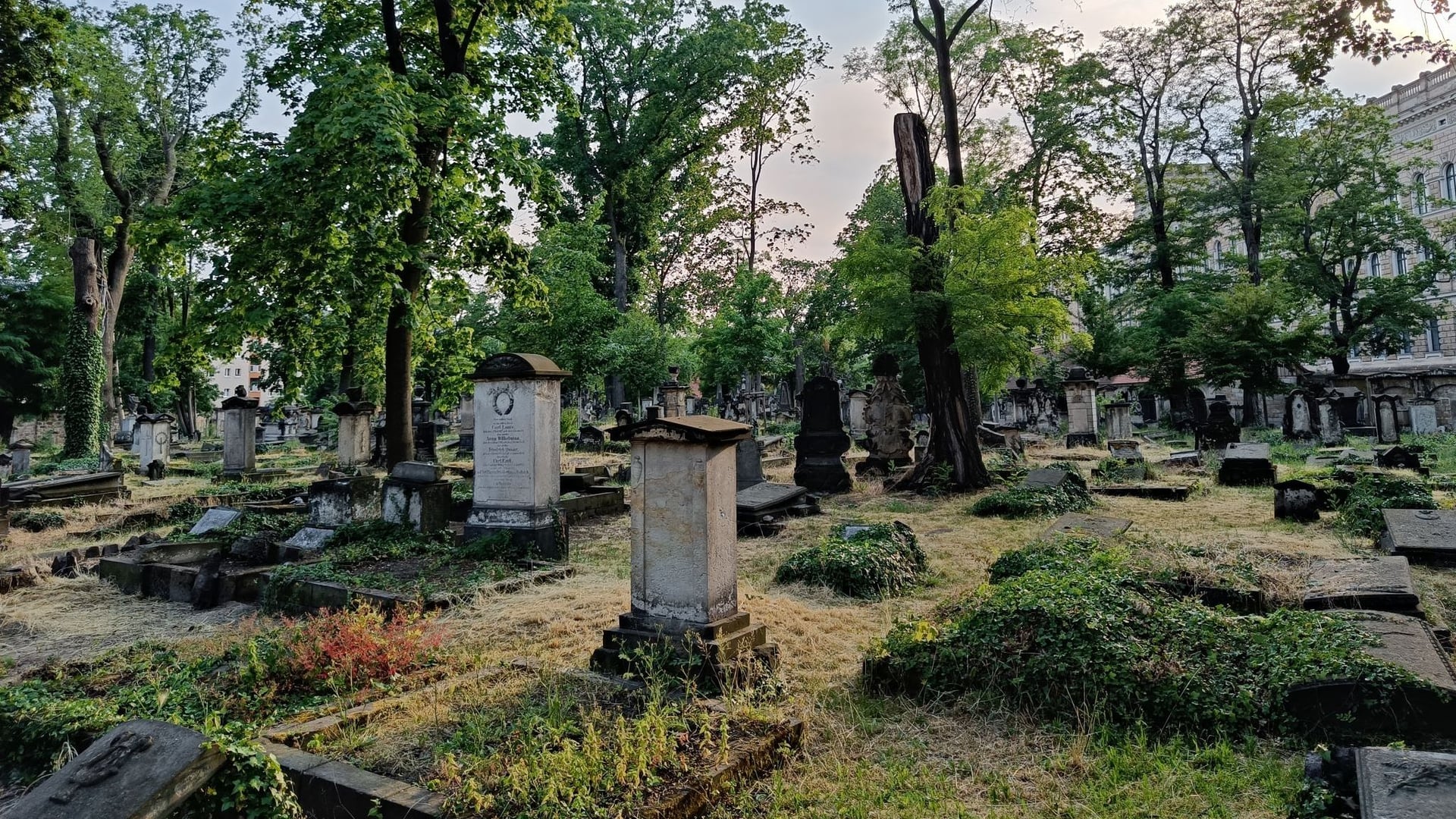 Fotoquelle: Volker Neumeister