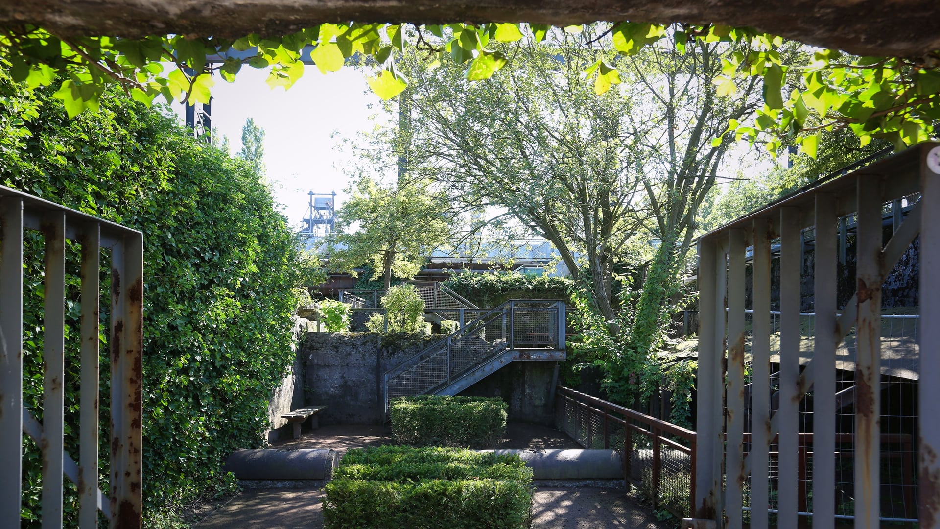 Fotoquelle: Thomas Berns