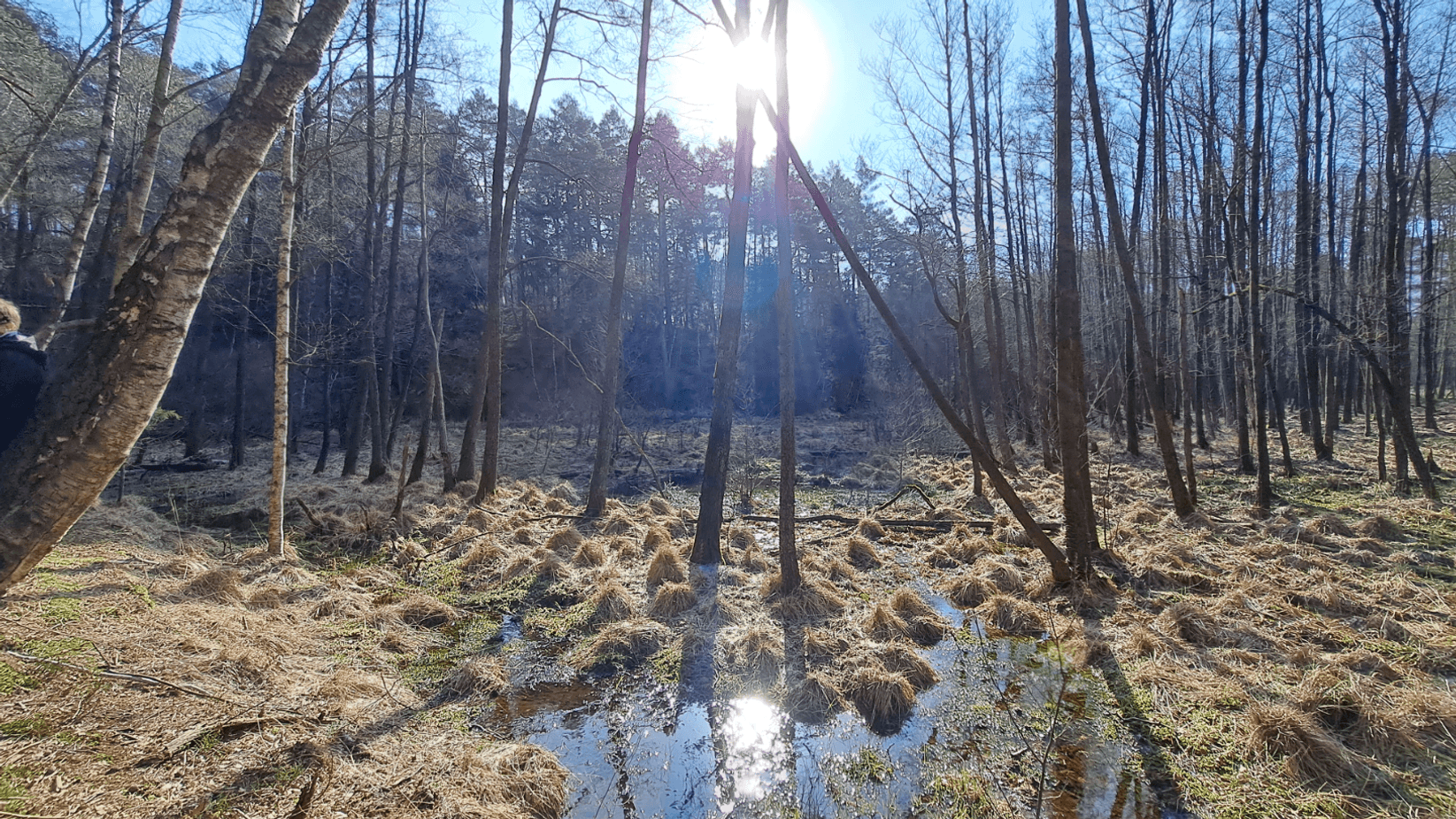 Fotoquelle: Mathias Dr. Hensch